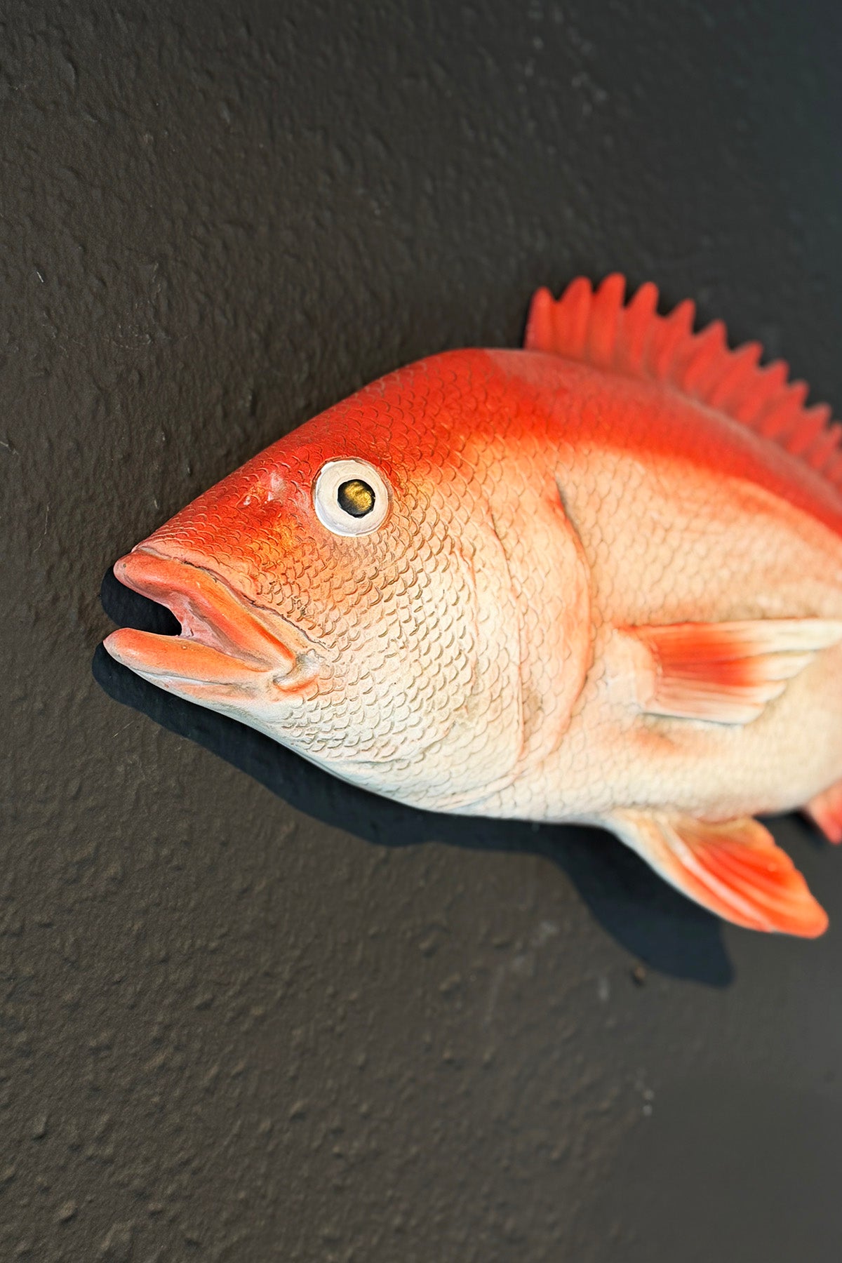 Vægophæng "Red Snapper"