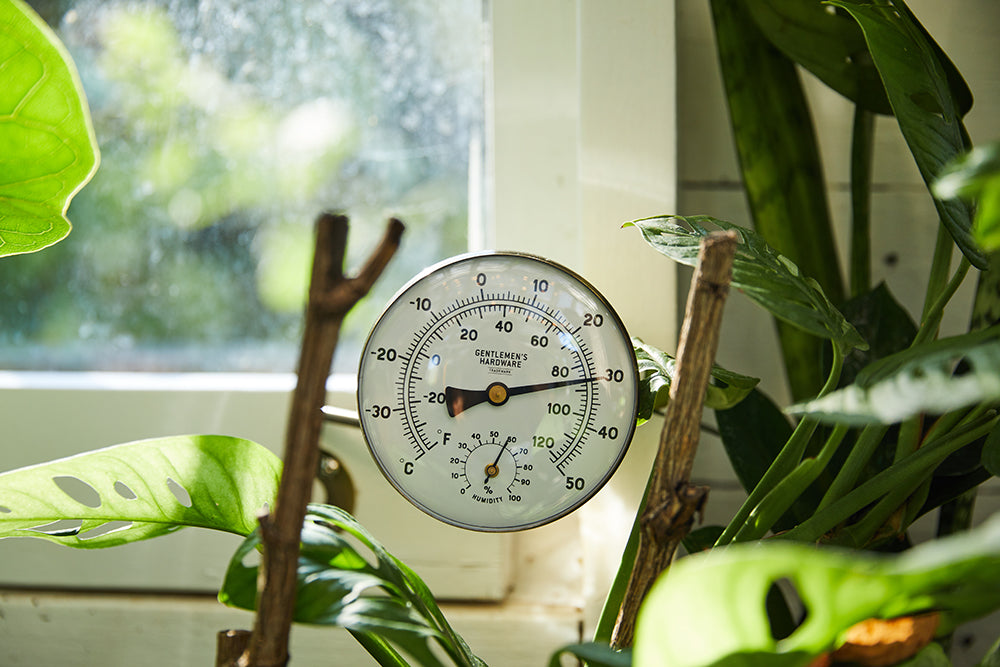 Garten-thermometer