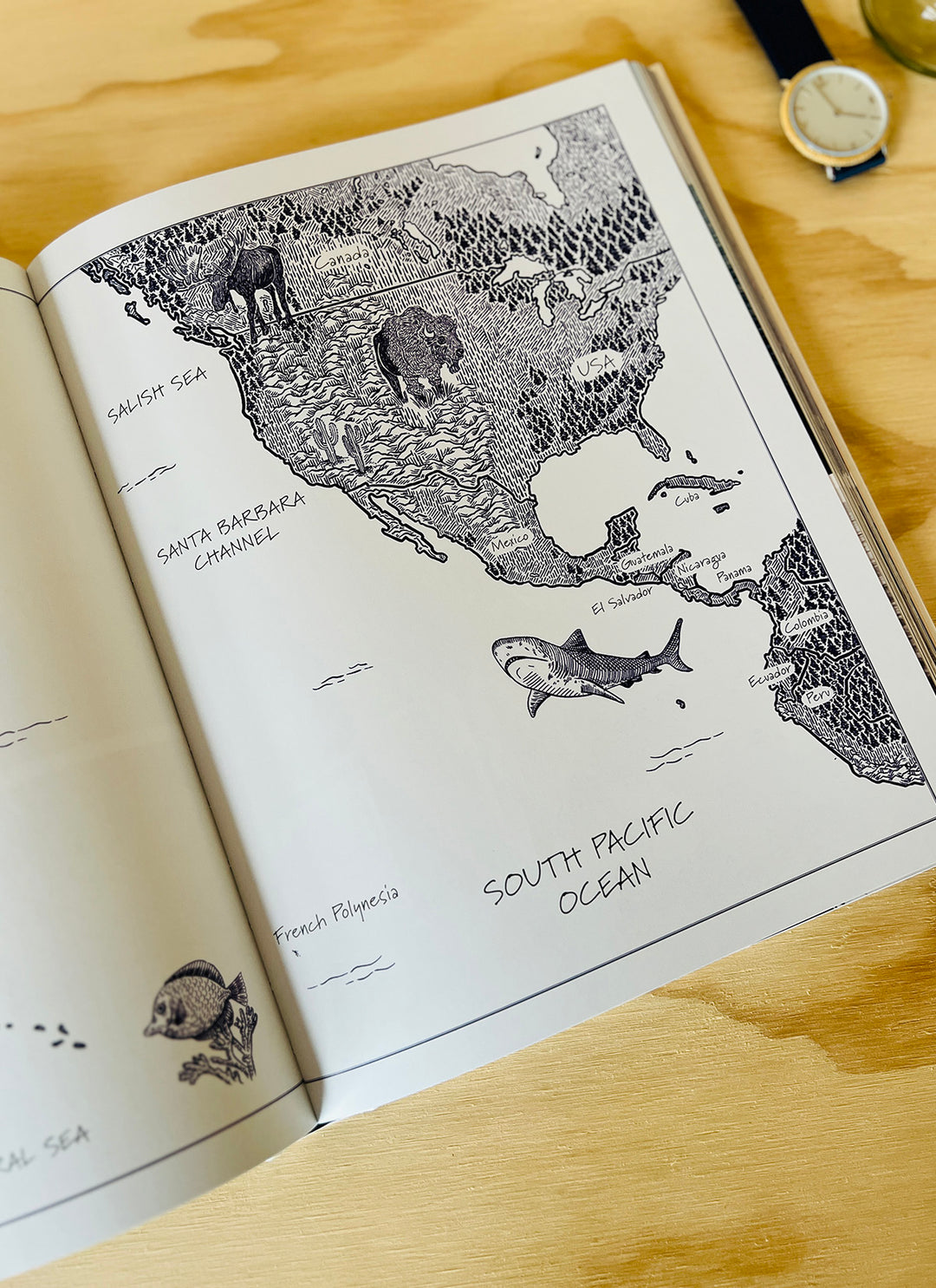 Boatlife - 256 Seiten