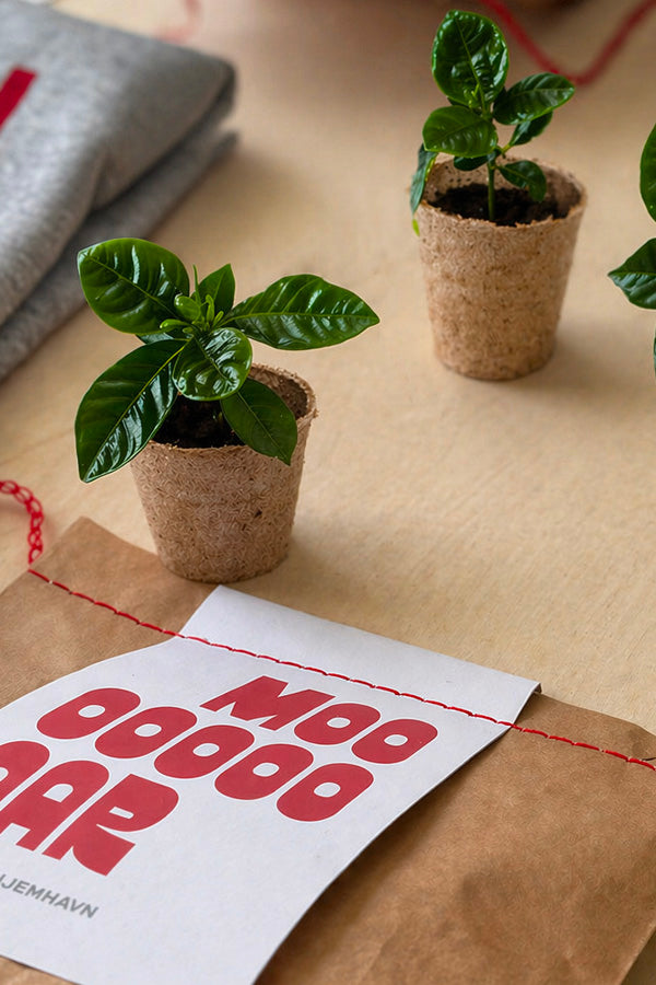 The Coffee Pack - Mors Dag '26