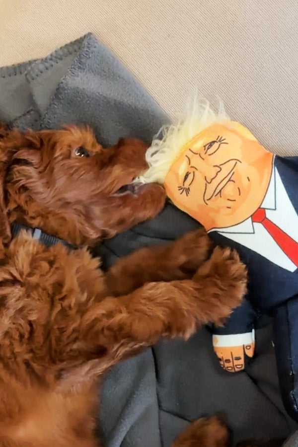 Donald - for dogs