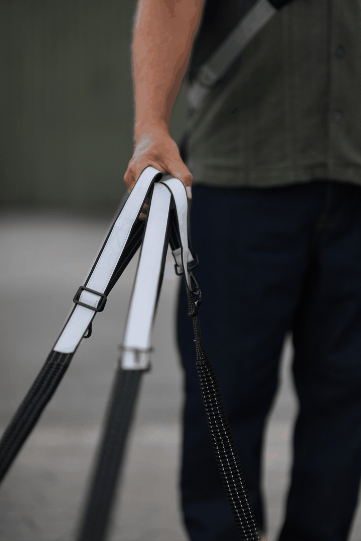 Multifunktionale Hundeleine mit Reflektor – "Safe & Shine"