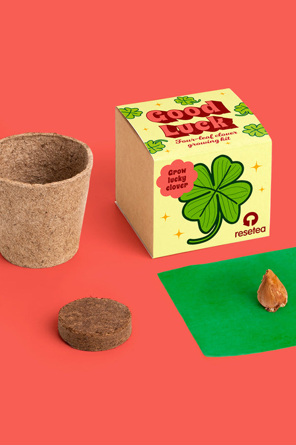 Viel Glück – Anzuchtset für vierblättriges Kleeblatt