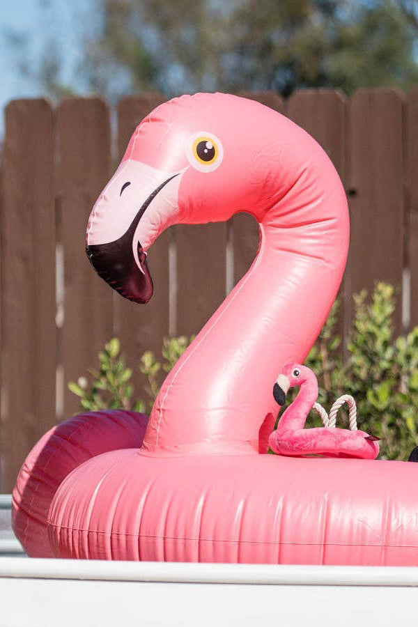 Flamingo Float - for dogs