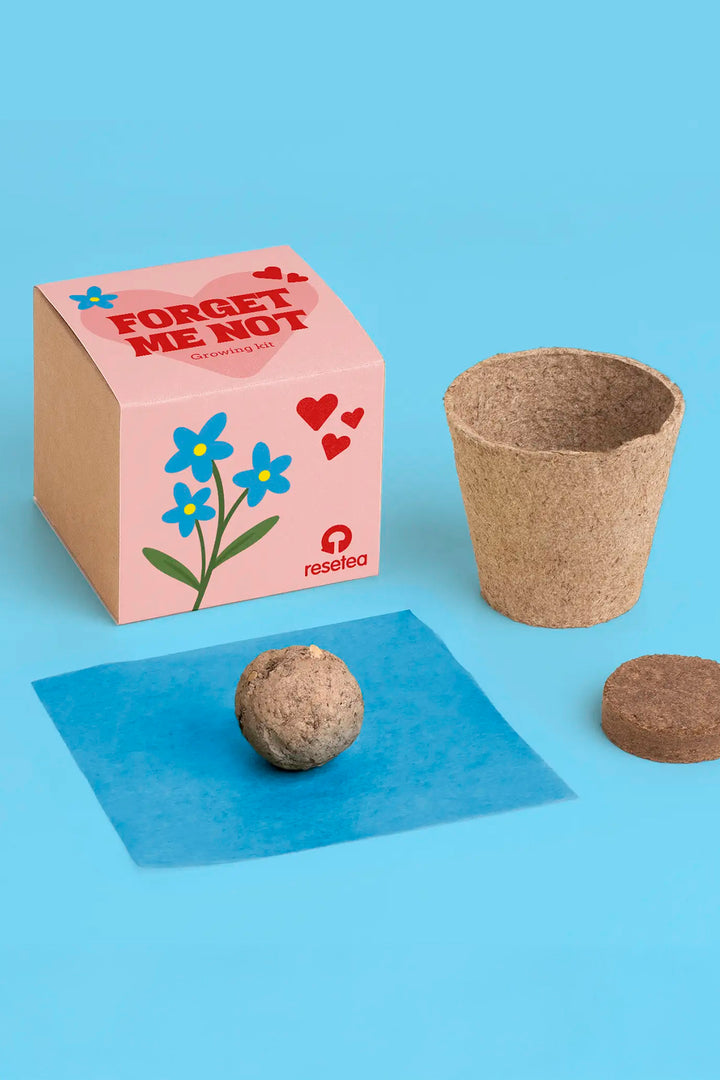 Forget me not – Growing Kit