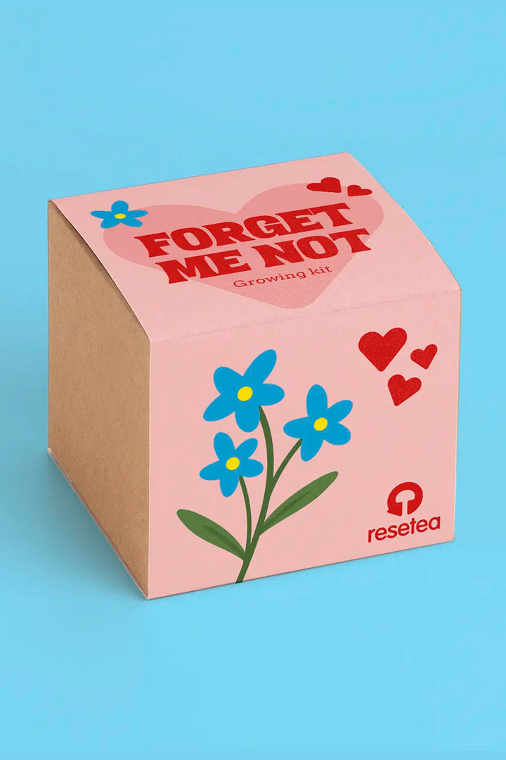 Forget me not – Growing Kit