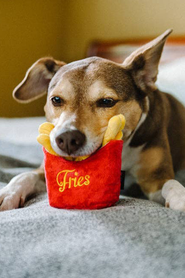 Fries - for dogs