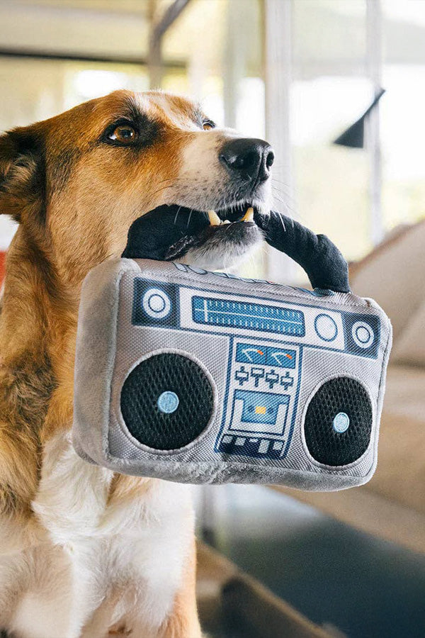Ghettoblaster - for dogs