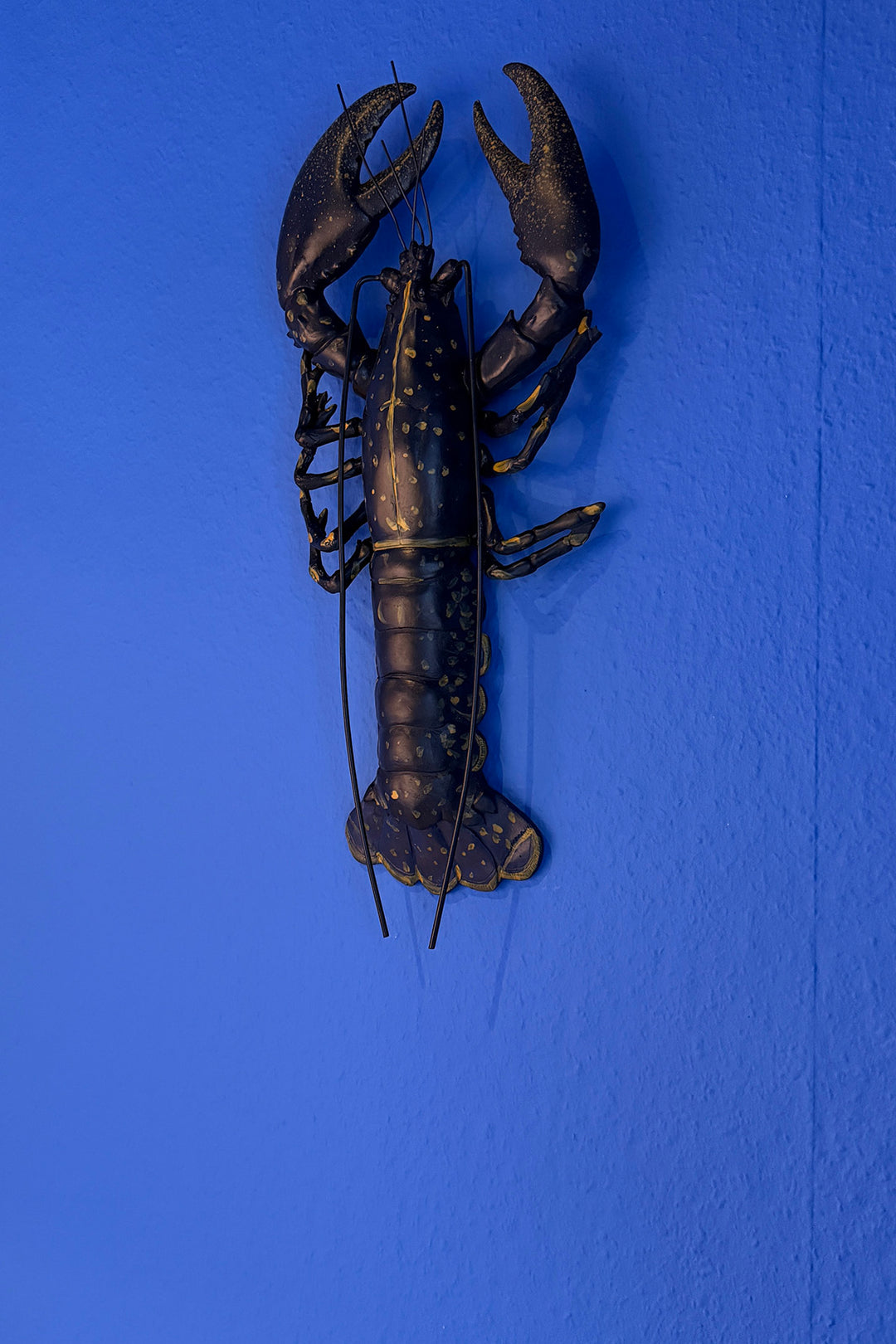 Vægophæng "Lobster"