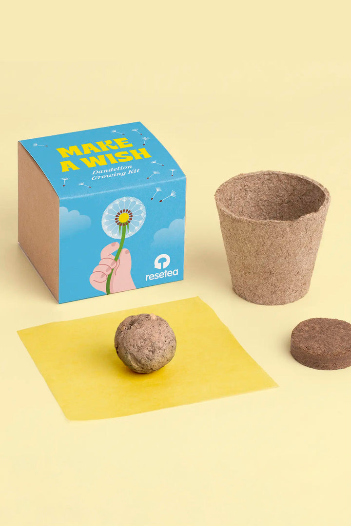 Make a wish – Growing Kit