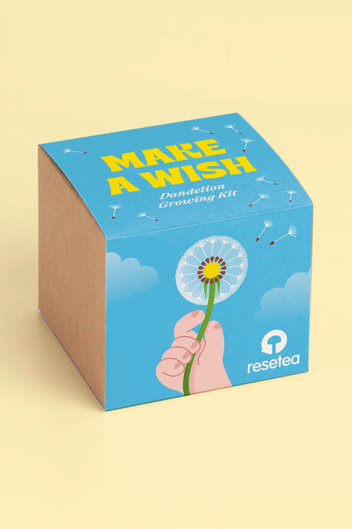 Make a wish – Growing Kit