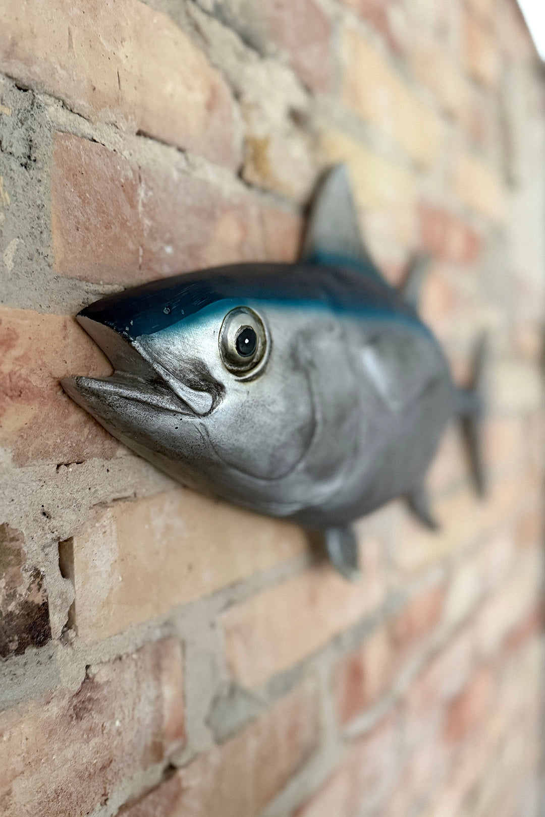 Wanddeko "Thunfisch"