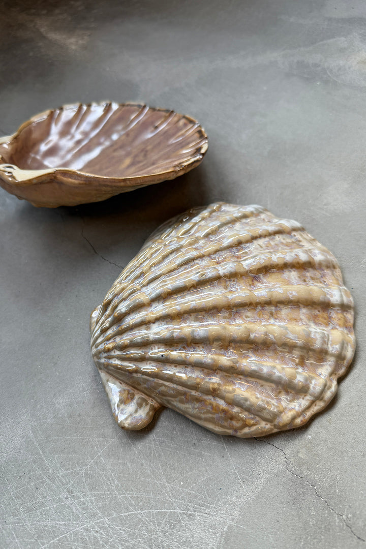 Shell Plates - Keramik (2 Stück)