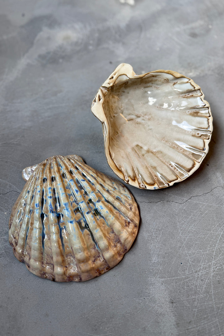 Shell Plates - Keramik (2 Stück)