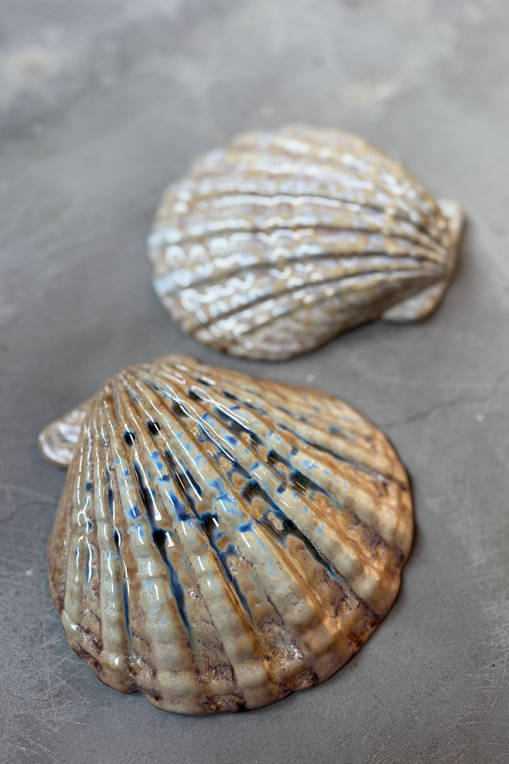 Shell Plates - Keramik (2 Stück)