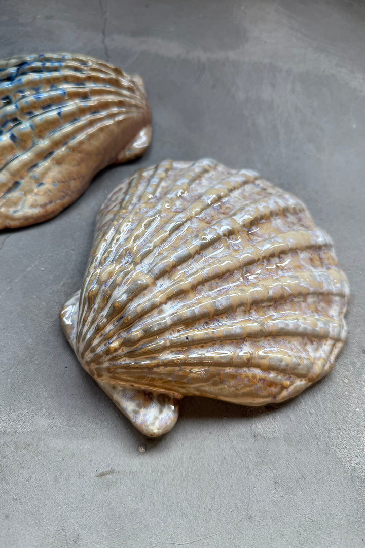 Shell Plates - Keramik (2 Stück)