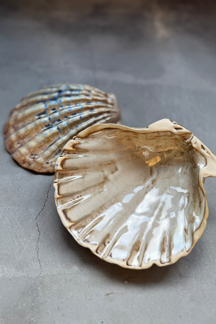 Shell Plates - Keramik (2 Stück)