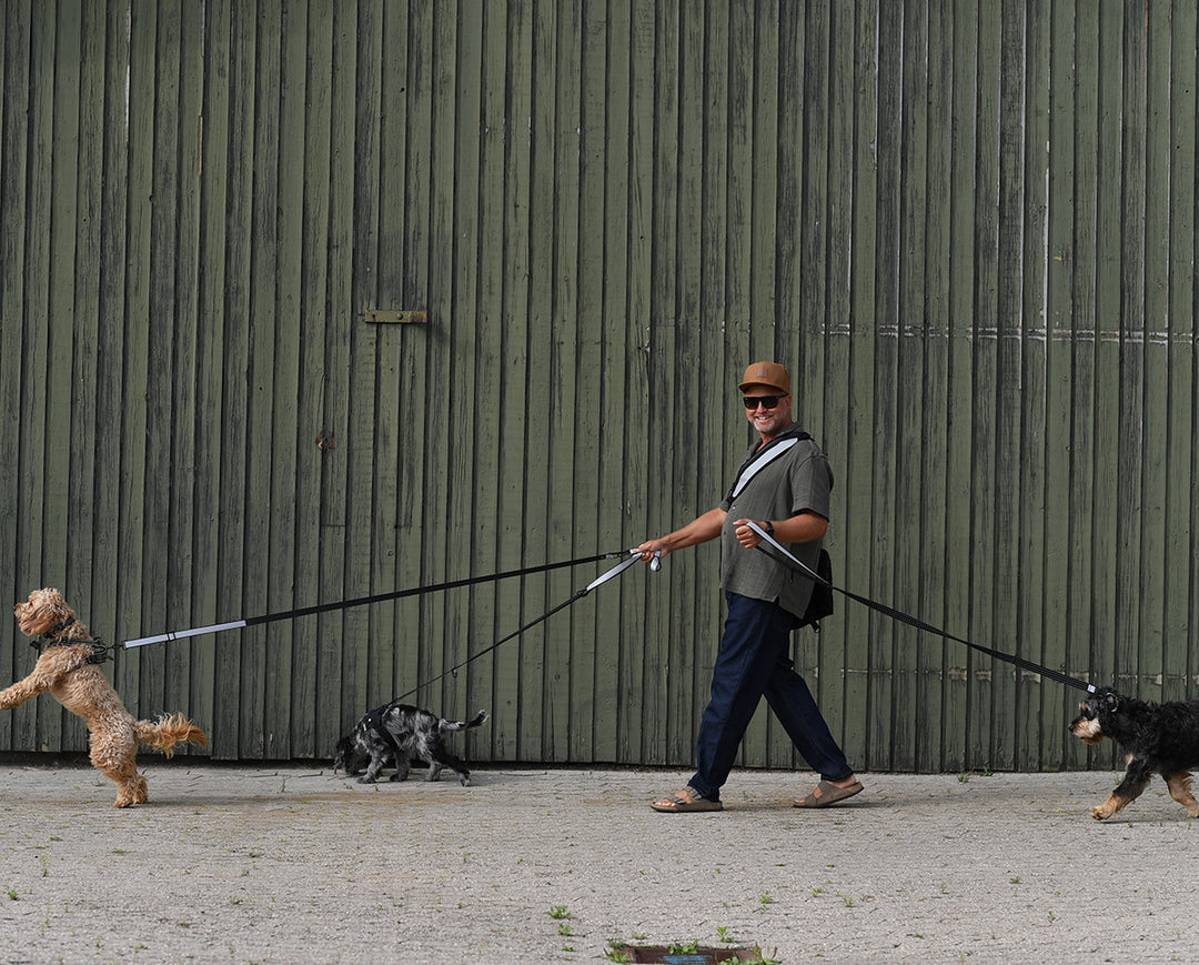 Multifunktionale Hundeleine mit Reflektor – "Safe & Shine"