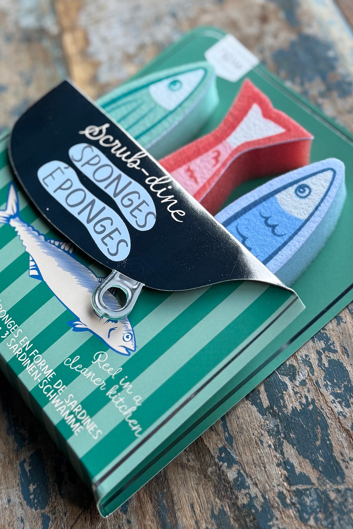 Sardinen Spülschwämme