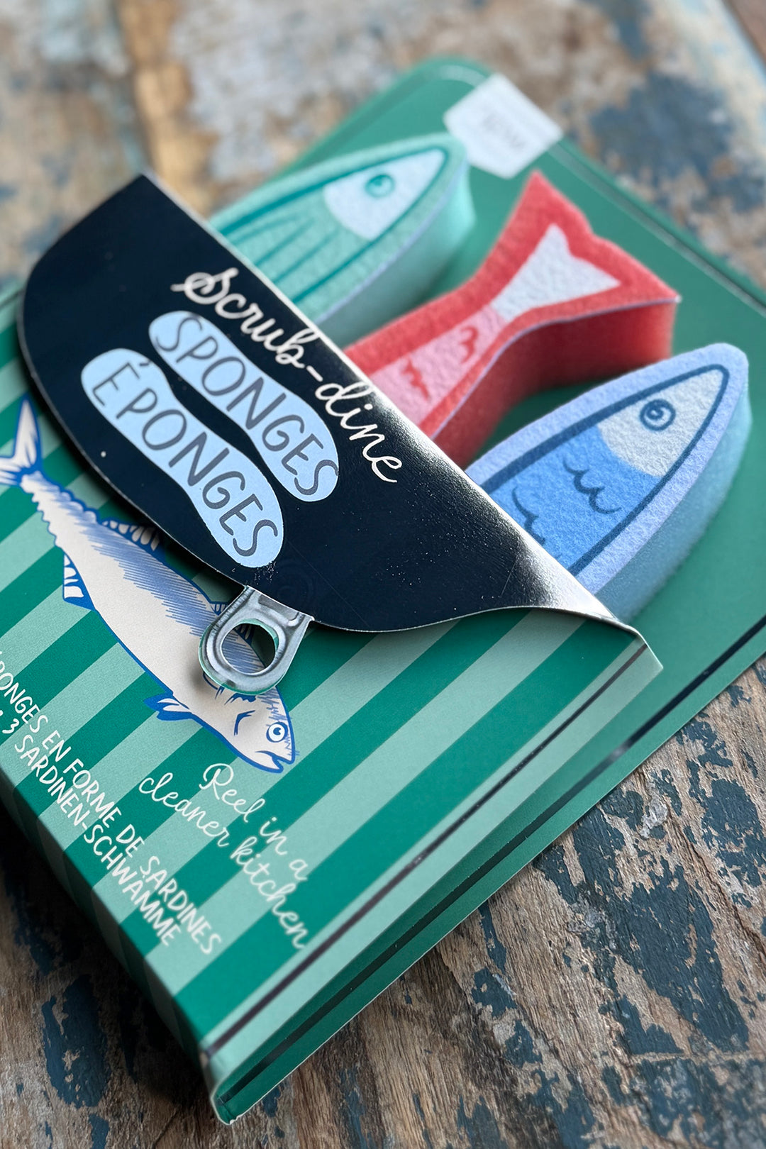 Sardinen Spülschwämme