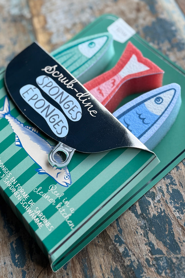 Sardinen Spülschwämme