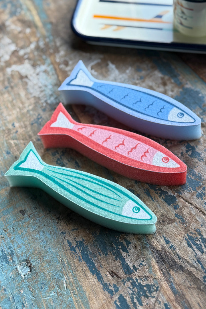 Sardinen Spülschwämme