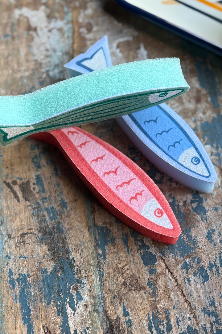 Sardinen Spülschwämme