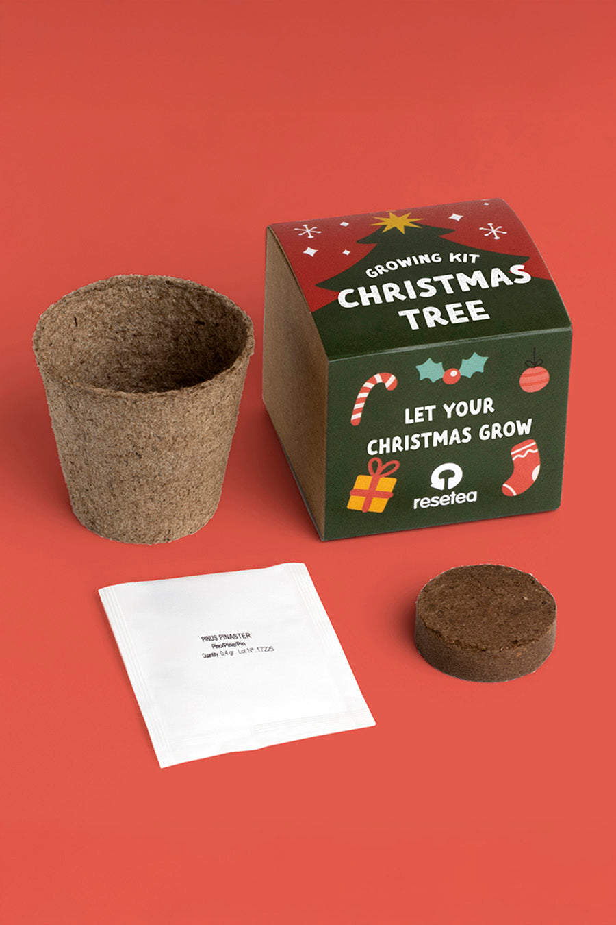 Christmas Tree - Growing Kit